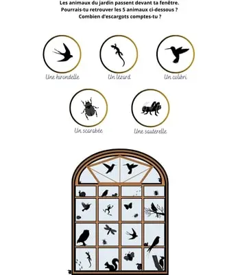 Cherche et trouve - Ombres des animaux du jardin Cherche et trouve - Animaux du jardin - Ombres