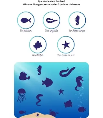 Cherche et trouve - Ombres des animaux marins Cherche et trouve - Animaux marins - Ombres