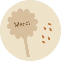 Kit graines à planter - Idée cadeau fin d'année